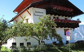 Gaestehaus Braunegger